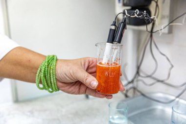 Minsk, Beyaz Rusya - 1 Juny, 2019: radionu için çilek kontrol