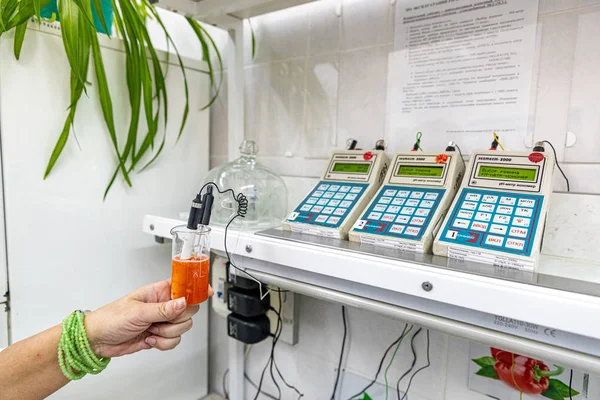 Μινσκ, Λευκορωσία-1 Juny, 2019: έλεγχος φραουλών για ακτινοβολία — Φωτογραφία Αρχείου