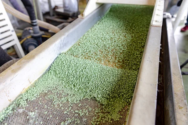 Fábrica para la producción de broche ecológico biodegradable — Foto de Stock