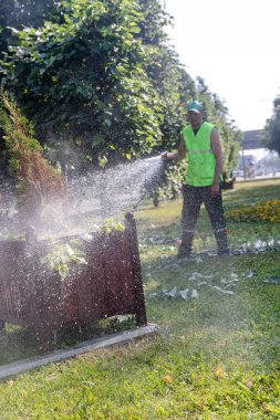 Minsk, Belarus-1 Haziran, 2019: belediyeye yardımcı işçi bahçıvan