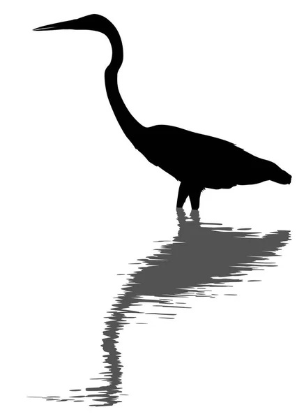 Grande silhouette d'aigrette et réflexion — Image vectorielle