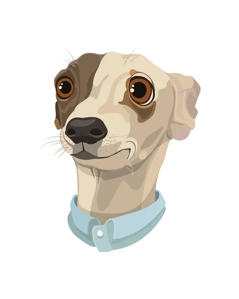 İllüstrasyon vektör karikatür köpek yüz