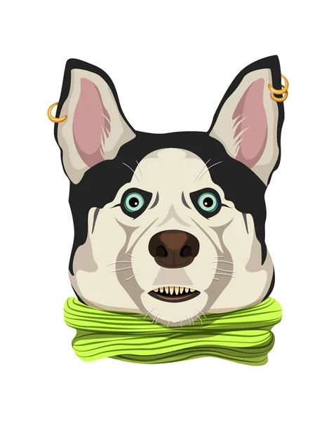 Çizgi film hasky beyaz arka plan üzerinde gösterimi