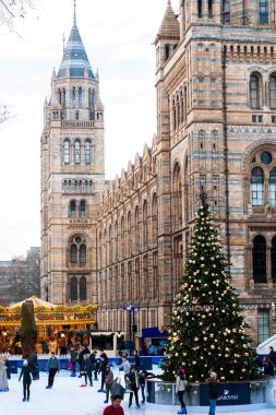 Londra - Aralık 2016: Doğal Tarih Müzesi tarafından Noel buz pateni pisti insanlar. Ünlü Müzesi ile tatil dekorasyon ve konumlar çeşitli şehir yerlerden biri.