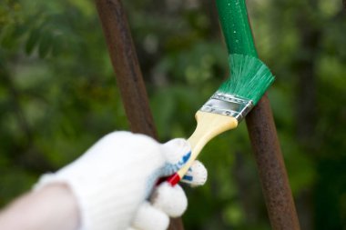 Beyaz eldiven giyen ve bir boya fırça ile boyama el.