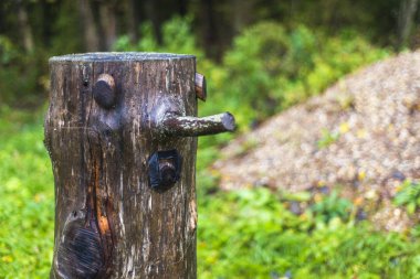 Pinokyo ahşap arka plan yeşil orman gülümseme ile yapılmış. 