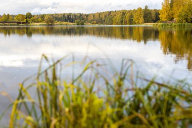 Sonbahar manzara. Sonbahar günbatımı vasıl belgili tanımlık park ağaçlarda