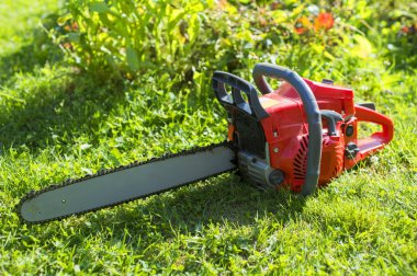 Testere çim üzerinde yalan