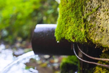 Kaynak suyu piper dökülen