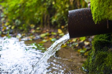 Kaynak suyu piper dökülen