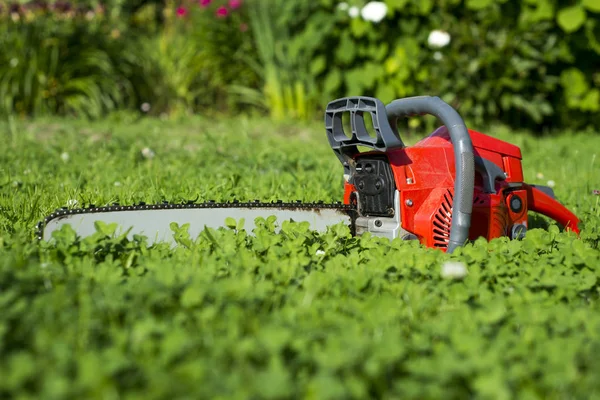 Testere çim üzerinde yalan