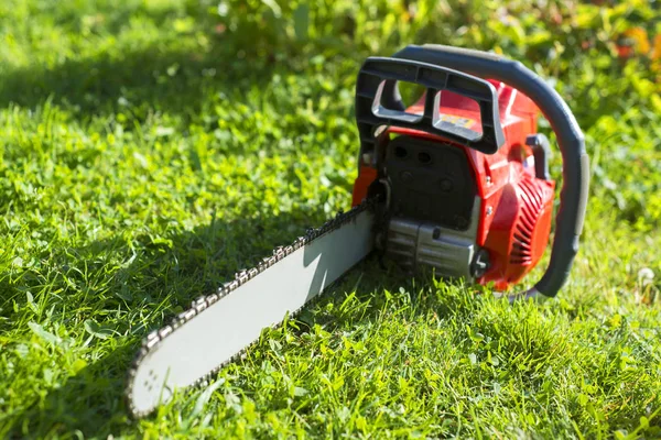 Testere çim üzerinde yalan