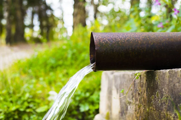 Kaynak suyu piper dökülen