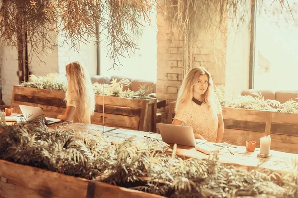 Netbook, sevimli kadın başarılı freelancer kafede otururken dizüstü bilgisayar kullanan çalışan genç kız öğrenci