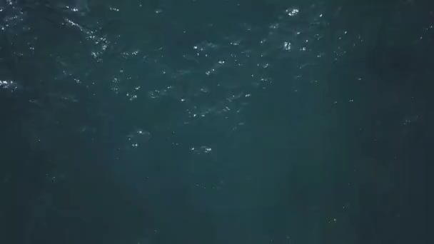 Légi Felvétel Idegenforgalmi Csónakot Kék Tenger — Stock videók