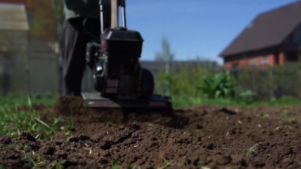 俄罗斯 Dmitrov 2018年6月 农夫耕种土地用耕作 迷你拖拉机 — 图库视频影像