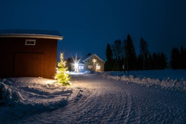 Kışın bir çam ormanı içinde yalnız bir ev