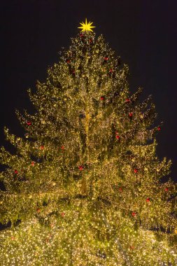 Şehir meydanında güzel dekore edilmiş bir Noel ağacı.