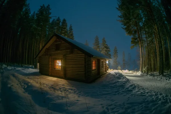 Одинокий Дом Сосновом Лесу — стоковое фото