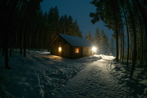 Bir çam ormanı içinde yalnız bir ev 