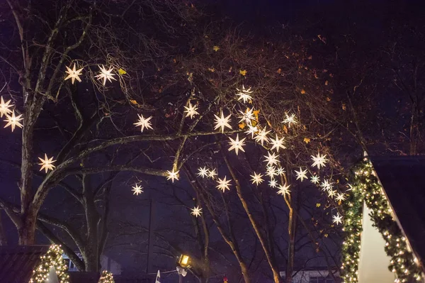 Звезды Ветвях Деревьев Время Рождества — стоковое фото