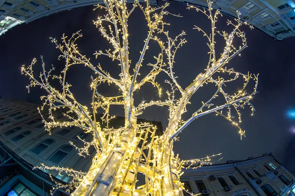 Árbol Con Bulbos Forma Iluminación —  Fotos de Stock