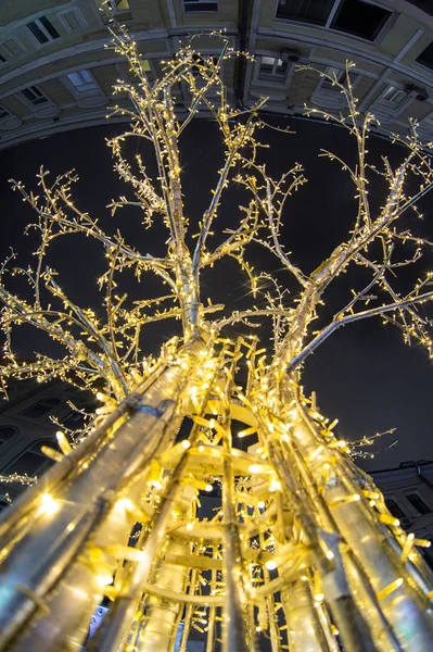 Árbol Con Bulbos Forma Iluminación —  Fotos de Stock