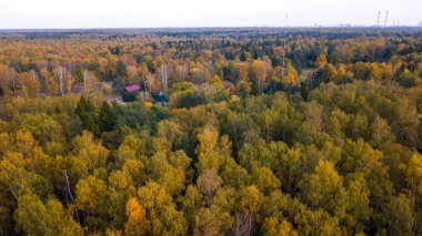 Havadan görünümü. Sonbahar yaprak döken orman üstünde. Üstten görünüm Grove meşe ve huş ağaçlarıyla. Kırmızı, sarı ve yeşil yemyeşil bitki örtüsü ağaçlarda. 