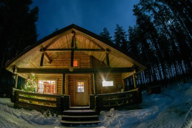 Bir çam ormanı içinde yalnız bir ev