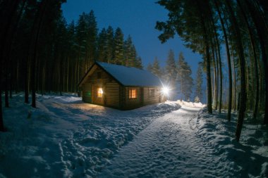 Bir çam ormanı içinde yalnız bir ev