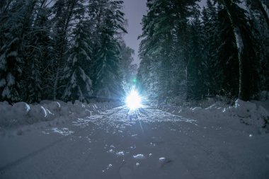 Araba ışıklar kış orman