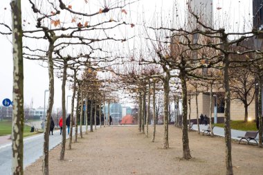 Dusseldorf, Almanya Tv kulesinde kış görünümü