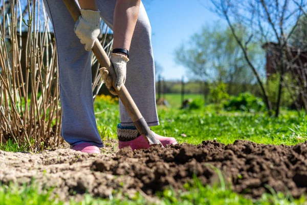 kadın bahçede kazı