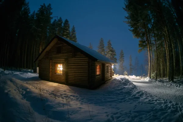 Bir çam ormanı içinde yalnız bir ev