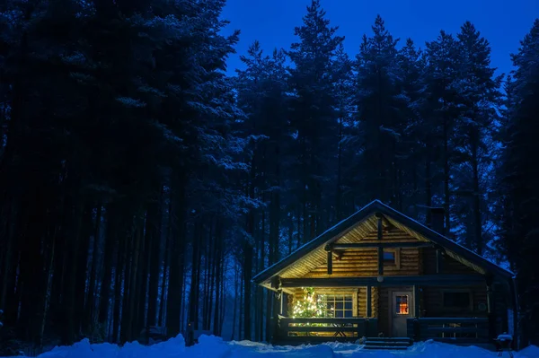 Una Casa Solitaria Bosque Pinos — Foto de Stock