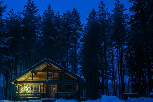 Una Casa Solitaria Bosque Pinos — Foto de Stock