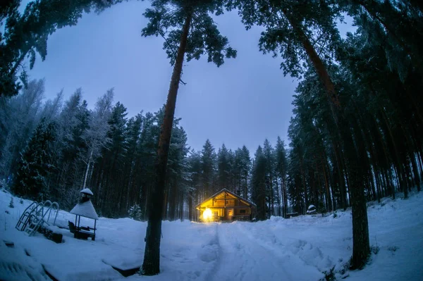 Una Casa Solitaria Bosque Pinos — Foto de Stock