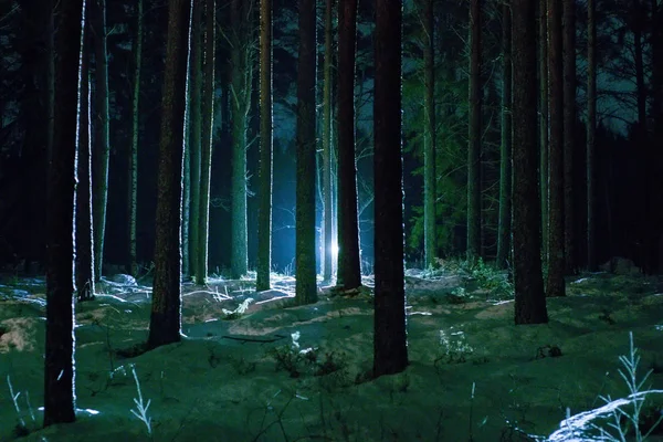 Człowiek Latarnią Nocy Lesie Zimie — Zdjęcie stockowe