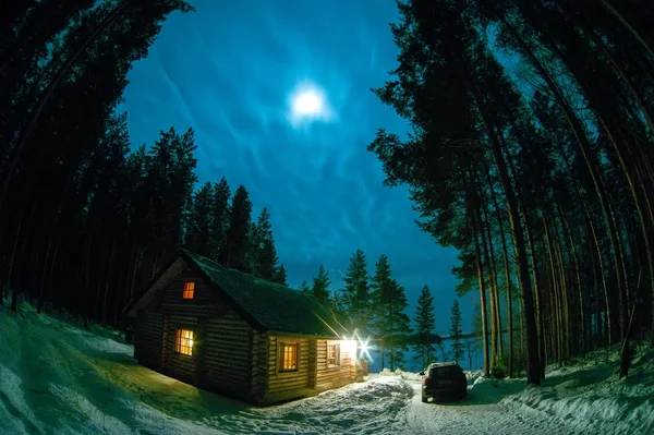 Een Eenzaam Huis Een Dennenbos Winter — Stockfoto