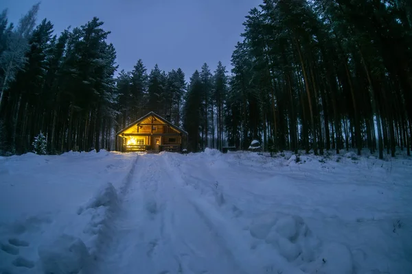 Una Casa Solitaria Bosque Pinos — Foto de Stock