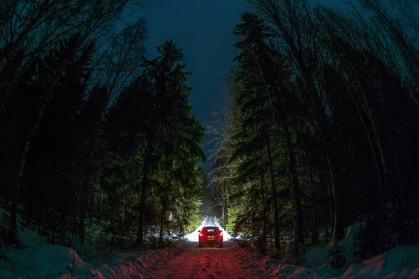 Sürüş kış - ışıkları karanlık gece ormanda, büyük araba ve kış yol çam ağaçları kapalı kar