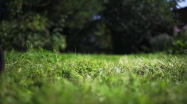 Ağır çekimde ateş etmeye çim biçme makinesi Çim