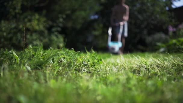 スローモーションで撮影の芝刈機芝生 — ストック動画