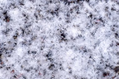 Gün batımında kar taneleri görüntüsünü makro