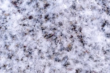 Gün batımında kar taneleri görüntüsünü makro