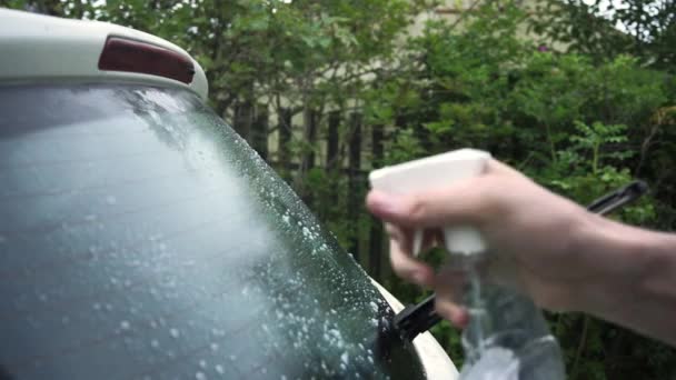 Nettoyage Verre Voiture Dans Nature — Video