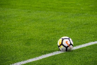 Rusya, Moskova: veb Arena stadyumunda Nike futbol topu