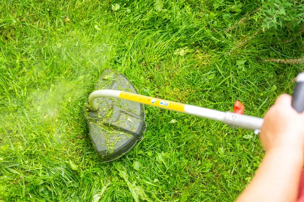 Woman Trimming Her Lawn Electric Edge Trimmer — Stock Photo, Image