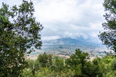 Güney Girit'te Peyzaj ve Zeytinlikler