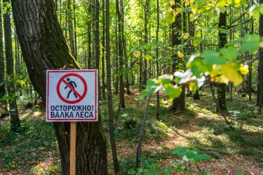 Moskova 'daki Losin Adası' nda odun kesme işareti